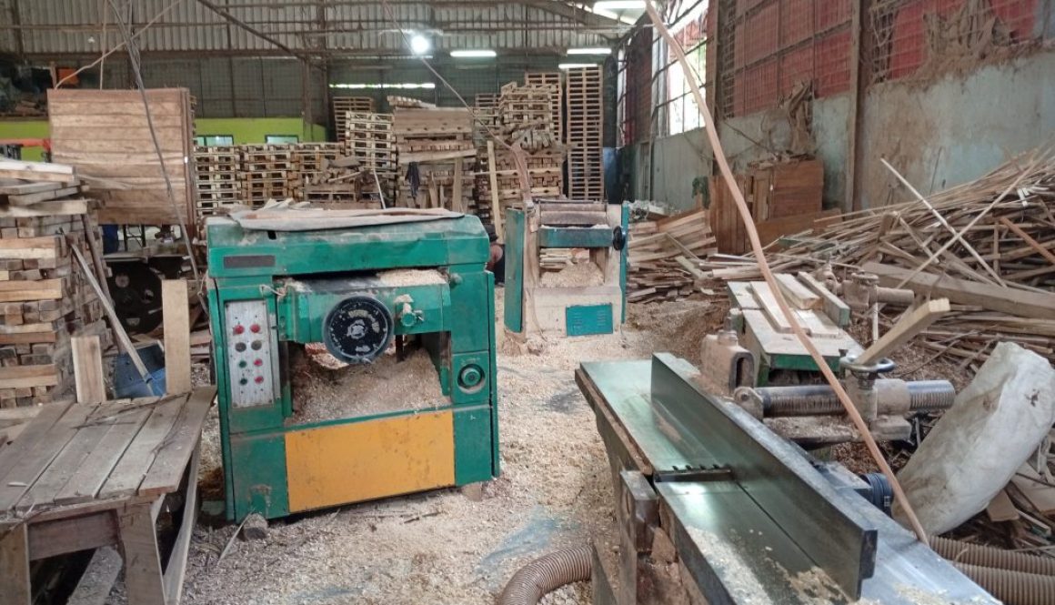 IMG_20250605_143444_1