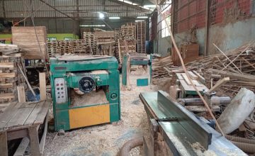 IMG_20250605_143444_1