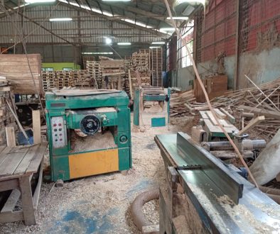 IMG_20250605_143444_1