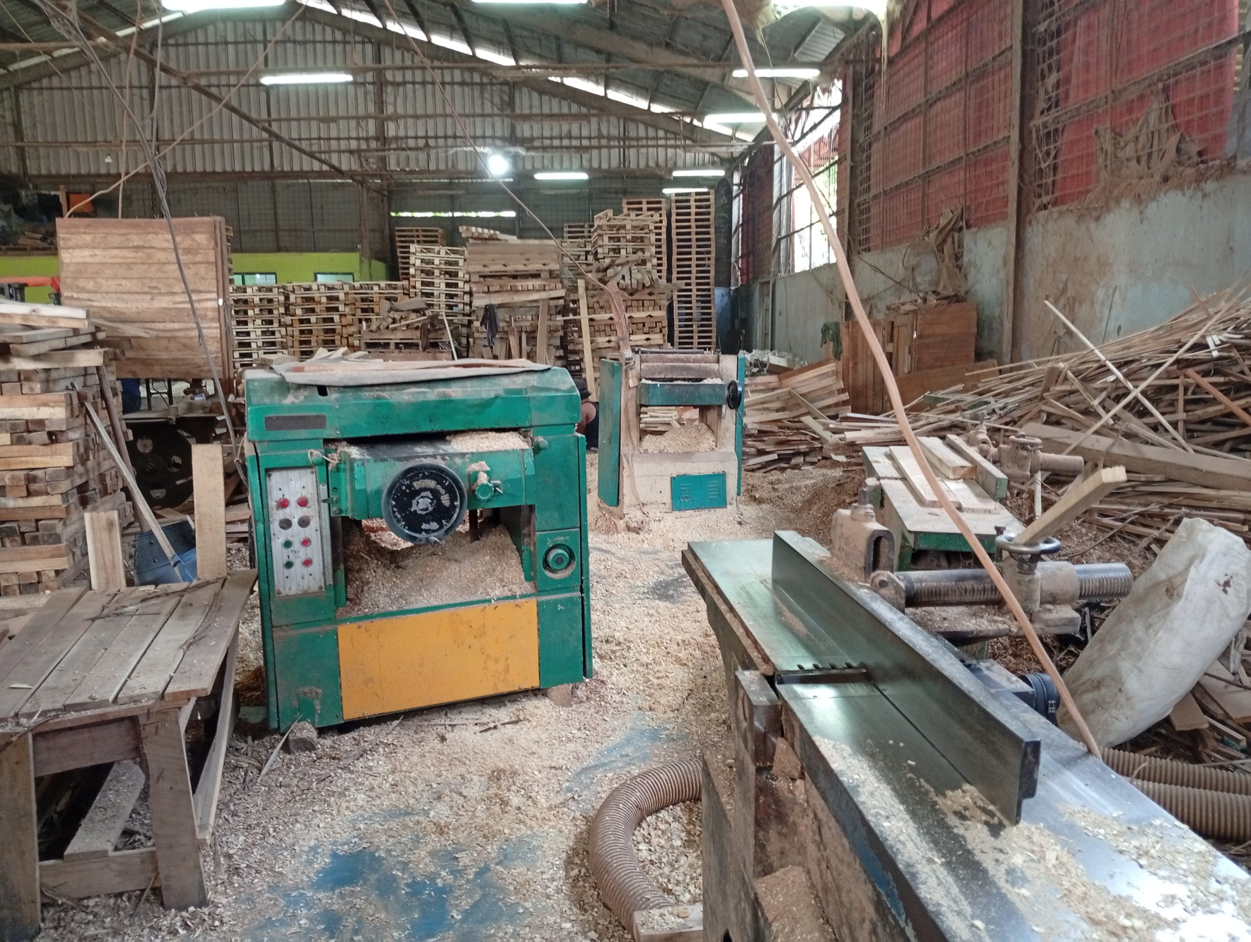 IMG_20250605_143444_1